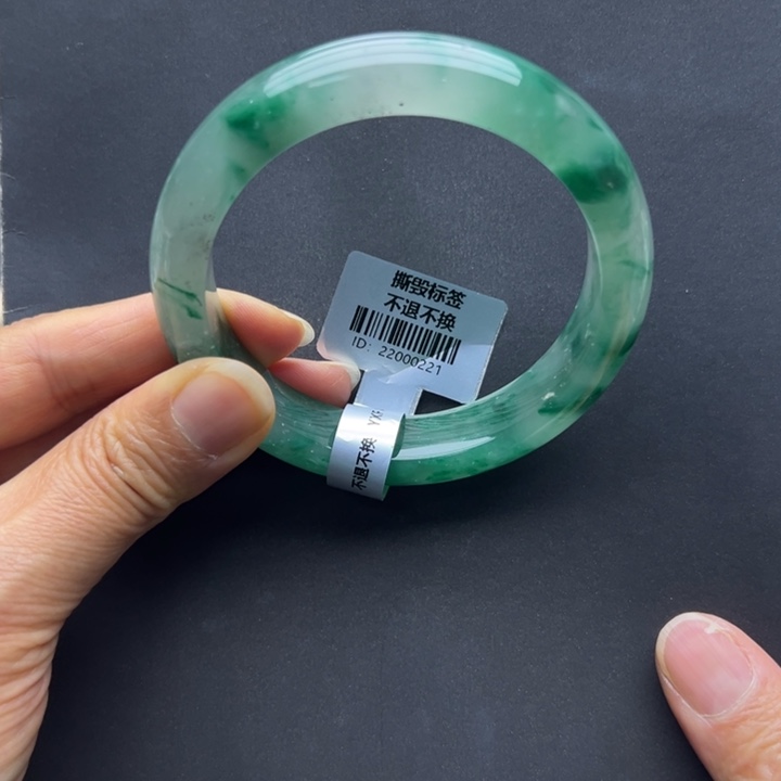 石英质玉未镶嵌手镯燕子➕60.1