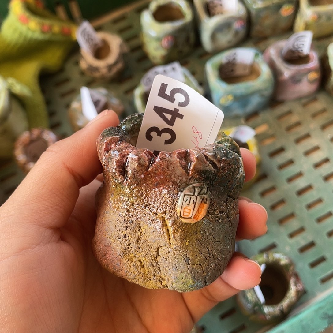 坛子姐花盆 小白孤品 内口3百搭