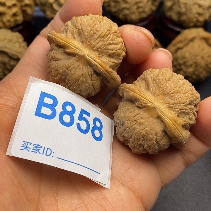 核桃血麒麟3.8，有修