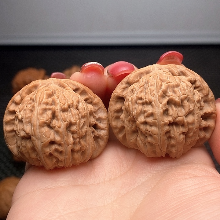 文玩核桃把件白狮子39全品