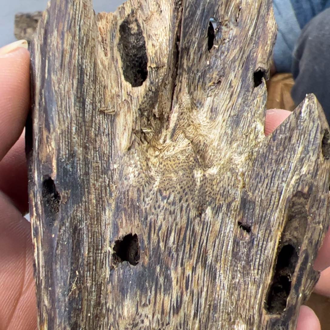 木1福利奇楠虫漏馨香料44克