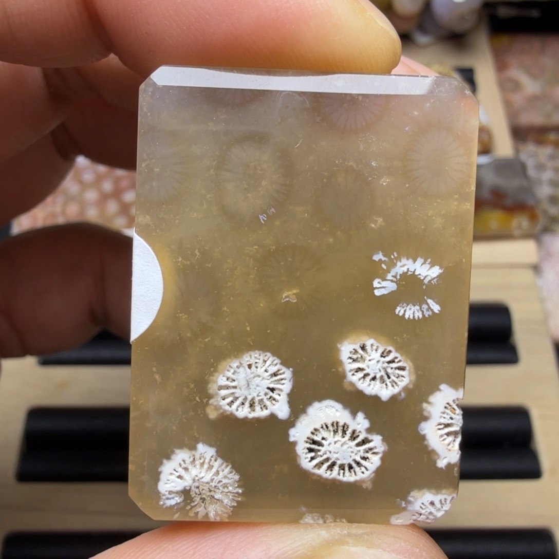 硅化玉未镶嵌纯天然色有机玉石保真色