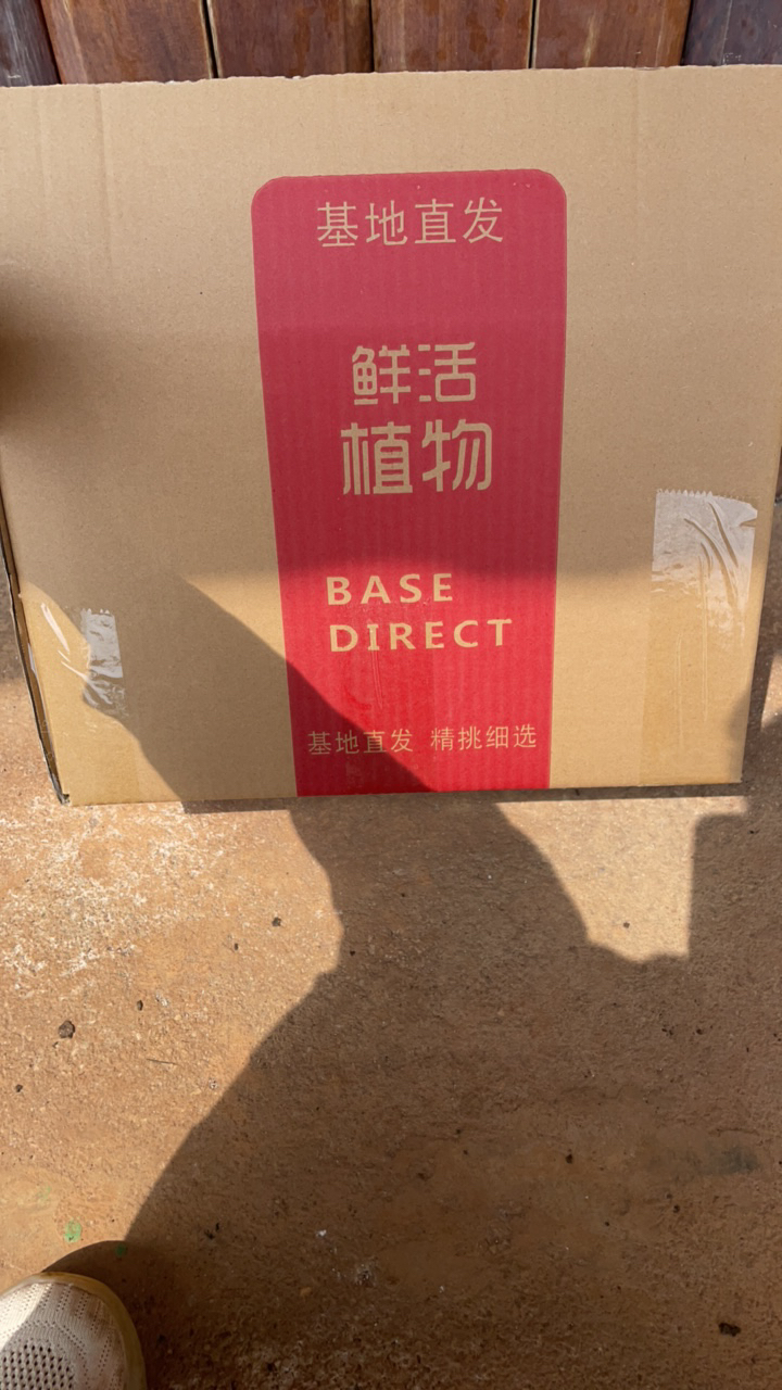 栖云花坊/箱拍到手五颗