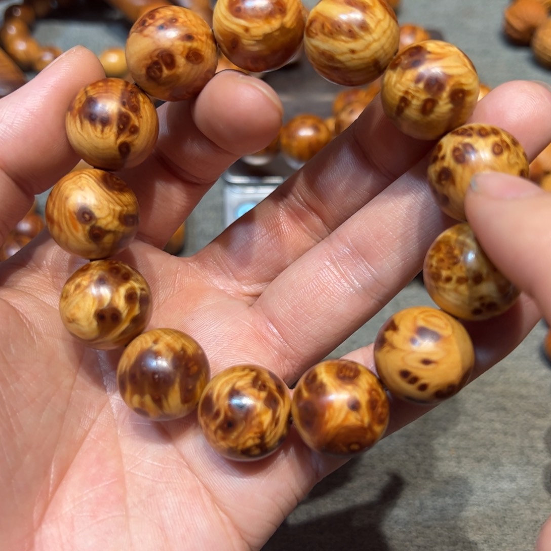 太行崖柏陈化太行