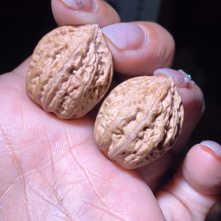 文玩核桃把件用****3东北野生楸子小美97