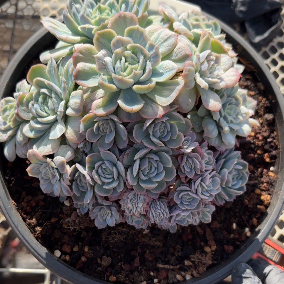 森***＊好久好久结婚斤斤计较你家