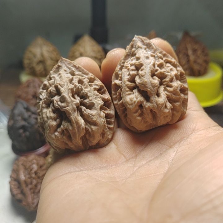 把件文玩核桃东北野生文玩核桃