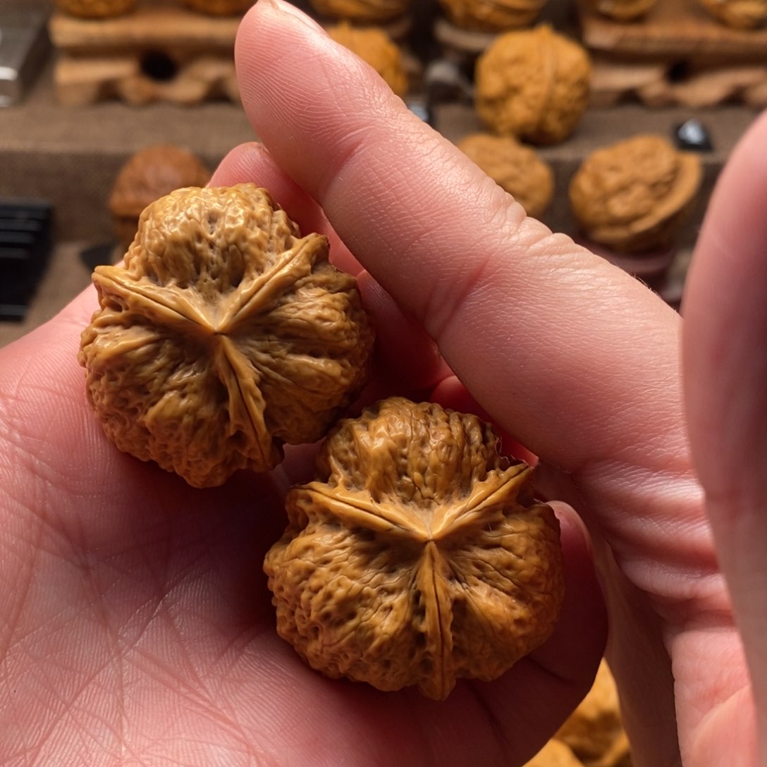 文玩核桃把件于**灬铁核桃