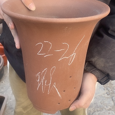 紫砂中国宜兴紫砂花，