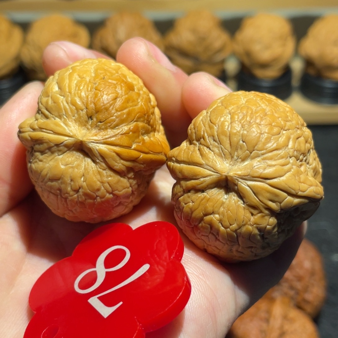 唉***~绝版七彩大西瓜核桃35 