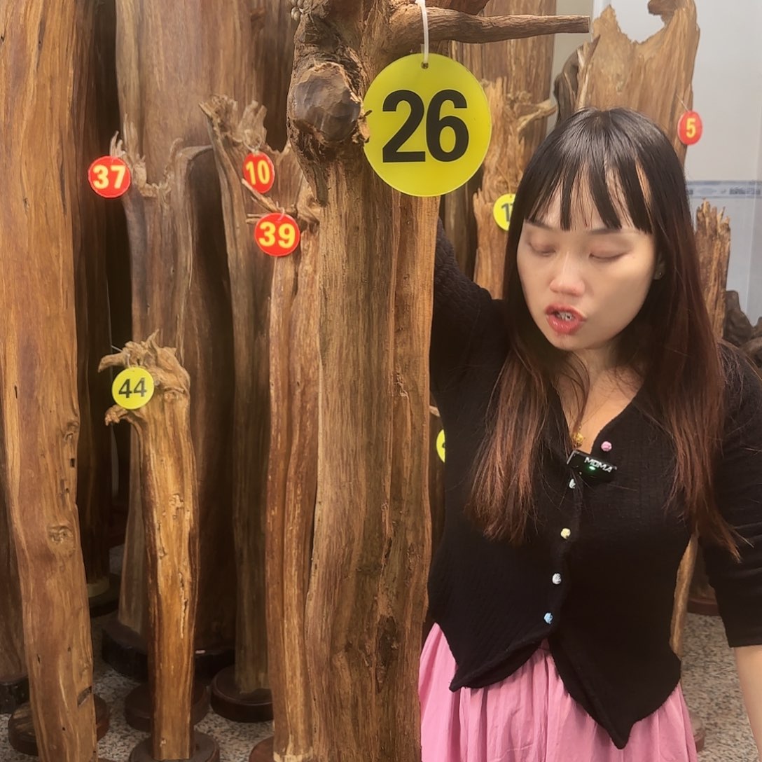 沉香沉香碎屑沉香原材料➕底座