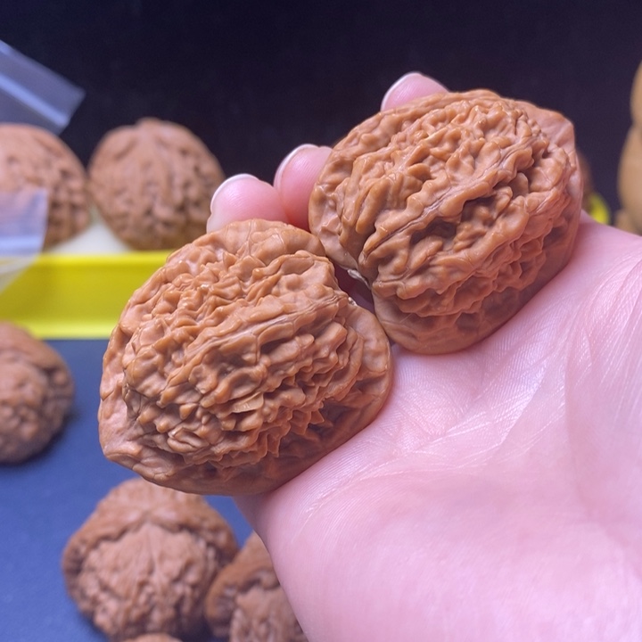 把件文玩核桃七***叔蚂蚁王