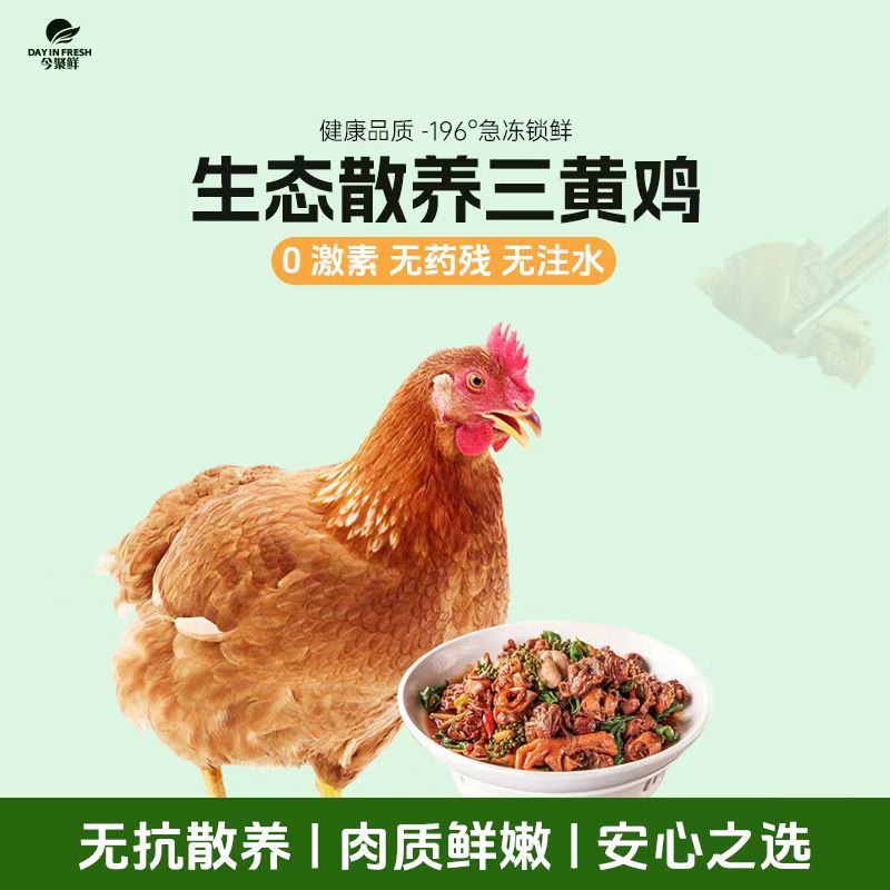 【无抗土鸡】肥西童子鸡 新鲜散养童子鸡整只走地 1.8-2.1斤/只 3只