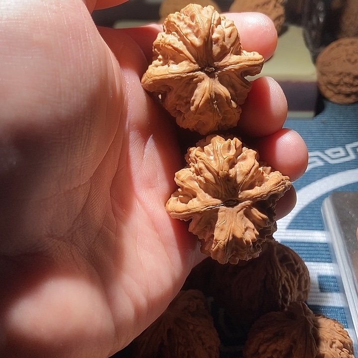 文玩核桃吊坠盘龙虎