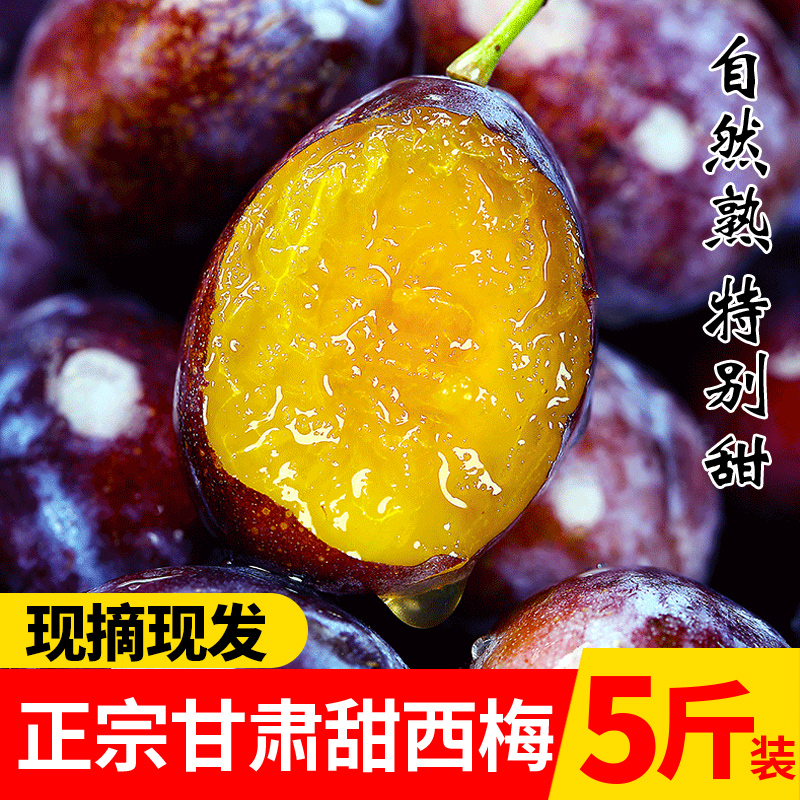 【拍3斤发5斤】甘肃新鲜西梅甜西梅当季时令孕妇水果理查德蓝蜜西梅
