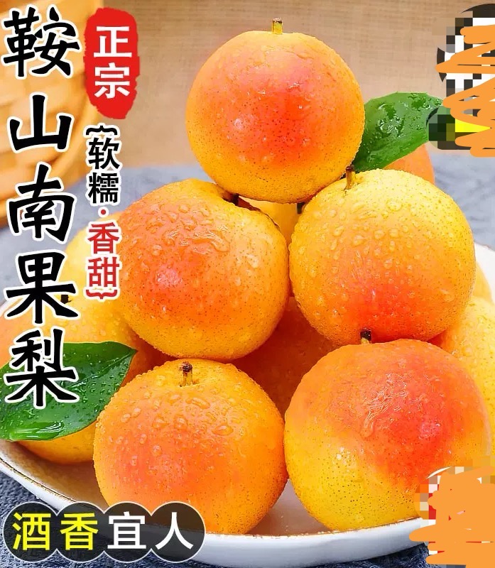 东北鞍山南果梨多汁好吃皮薄软糯香甜特产水果