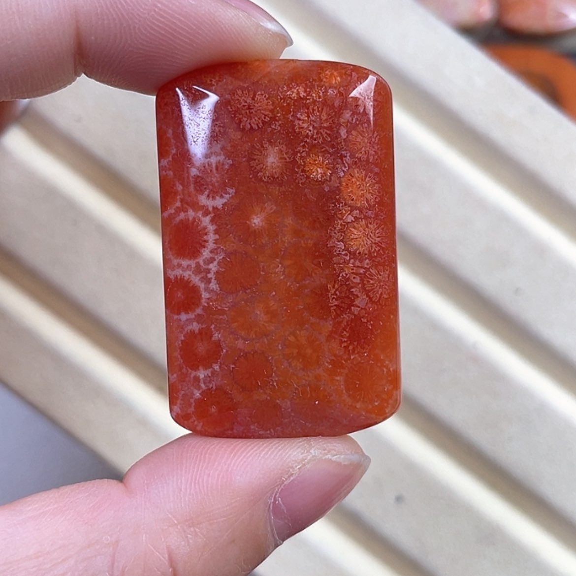 【闪购商品】硅化玉手镯未镶嵌