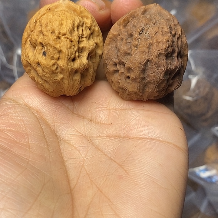 把件文玩核桃云南铁核桃61