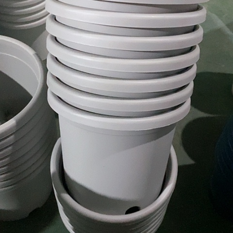 树脂微瑕3号10个无托灰白