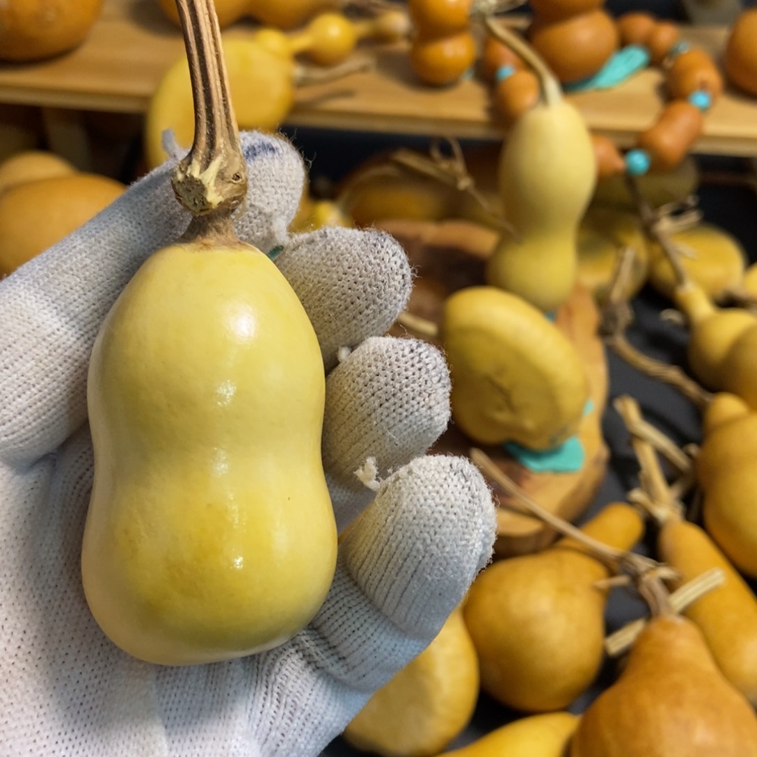 安*葫芦葫芦真的