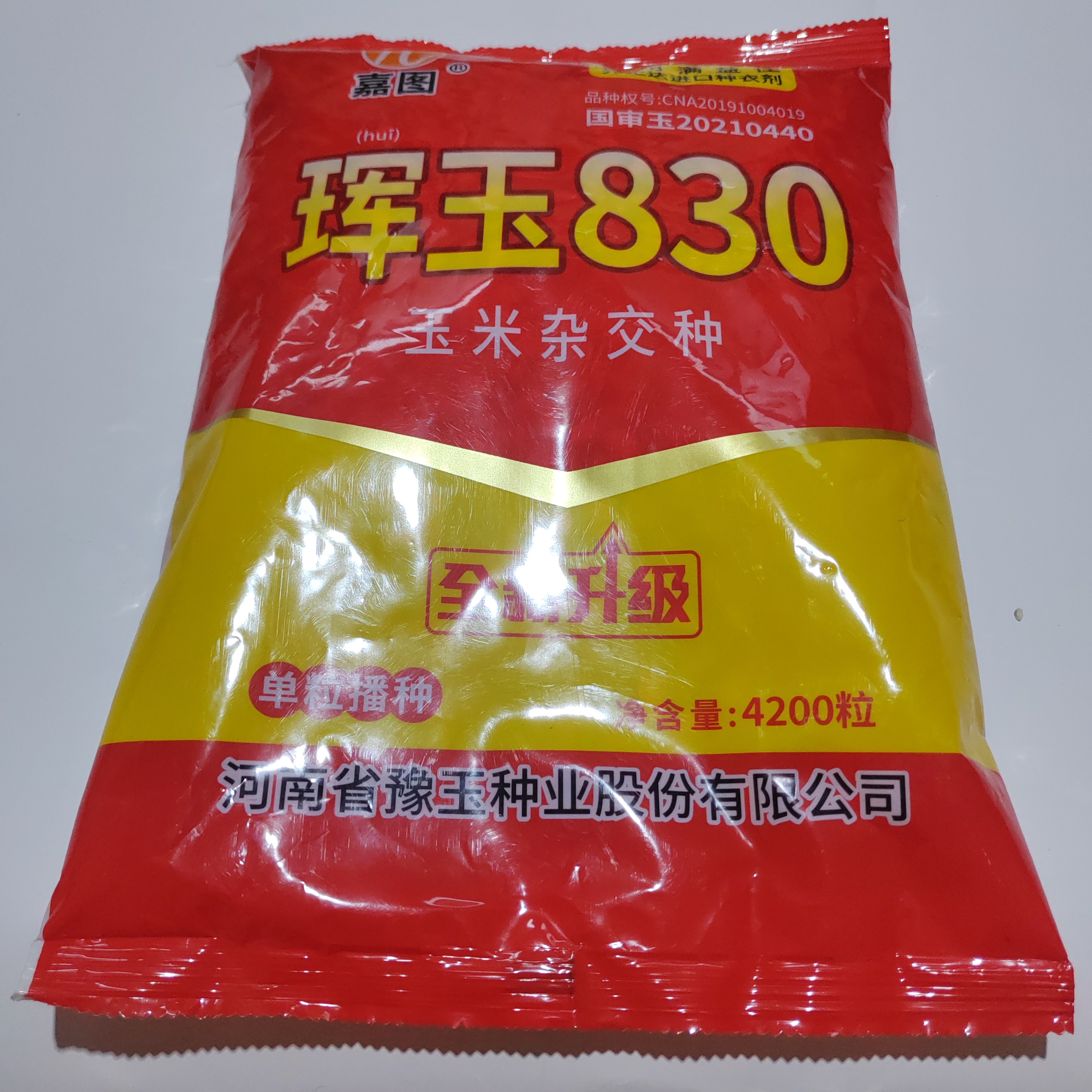 国审红轴大穗珲玉830玉米种玉米种子高产玉米种子