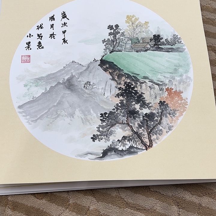 国画花鸟的翅膀和翅膀都是白色的羽毛