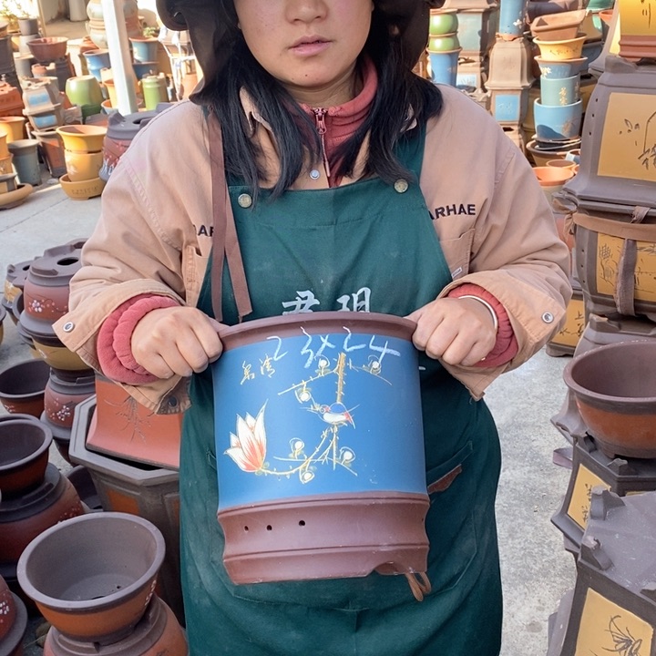 紫砂花盆盆栽花卉苗木种植