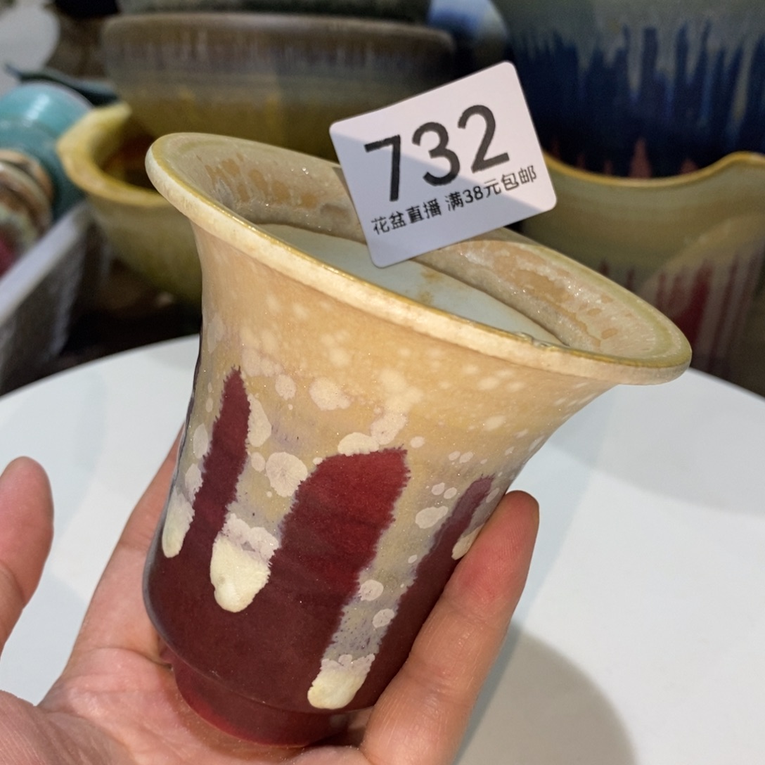 花盆花盆花盆花盆