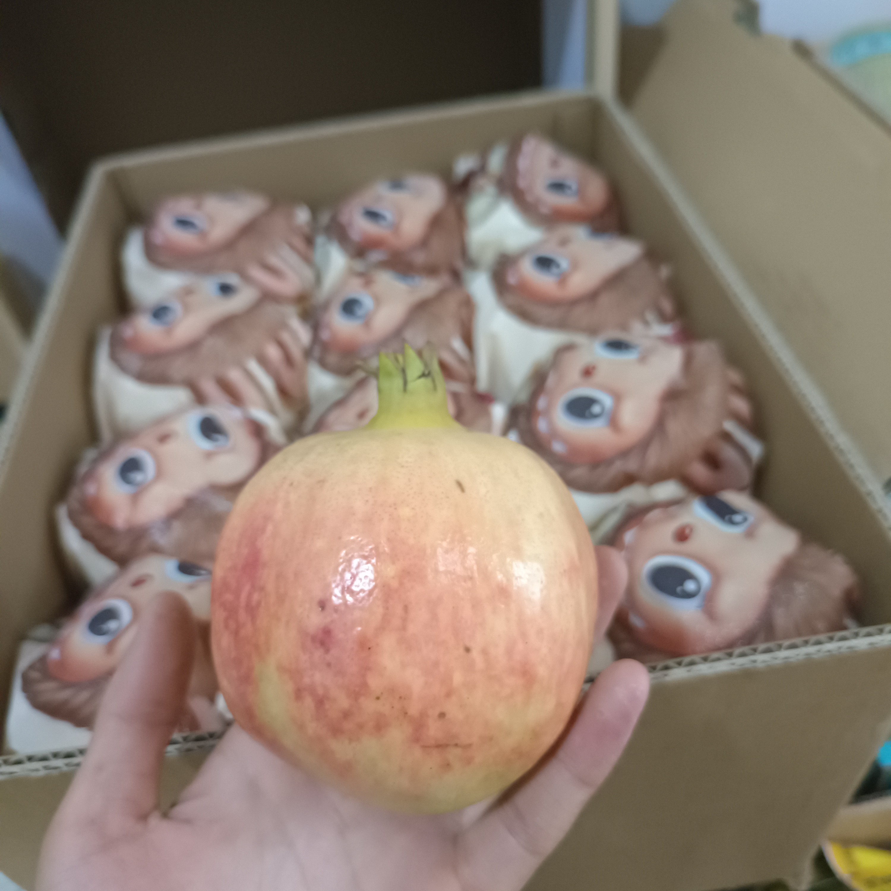 云南软籽石榴（大果一个）