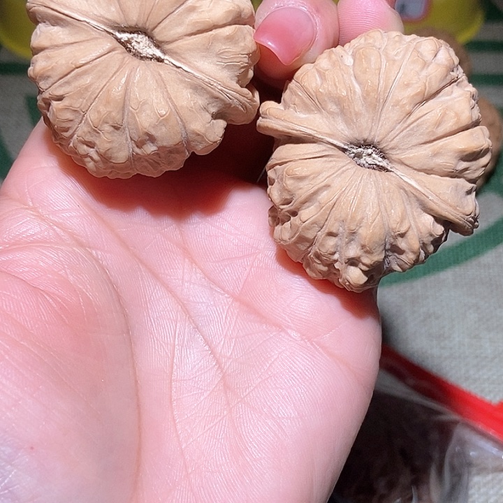 45尺寸全品南瓜墩！好运连连