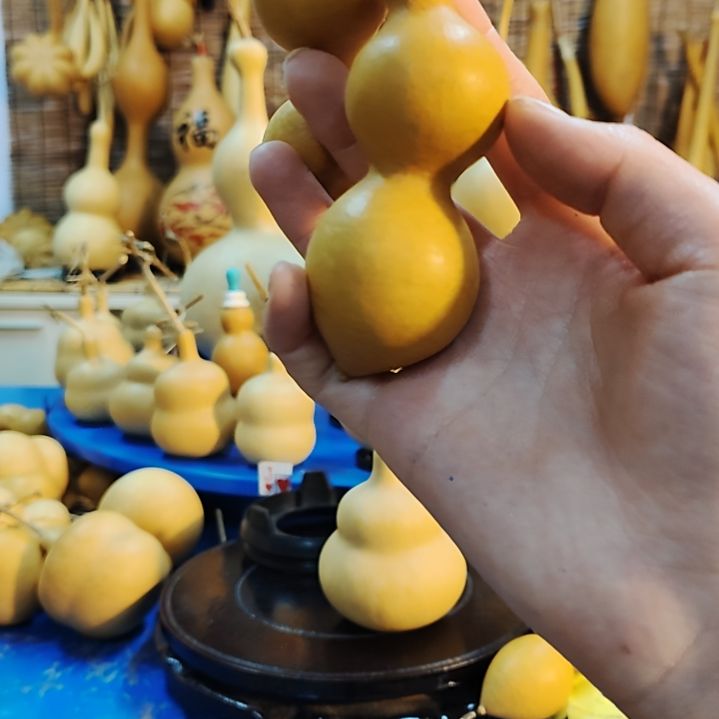 沈**?他他他他他他他他他他