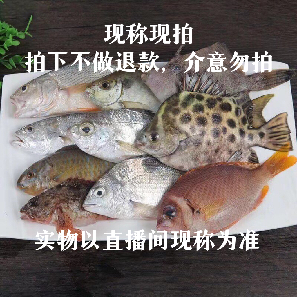 【老张专享】广西北海顺丰包邮现称现拍谨慎下单无质量问题不退不换