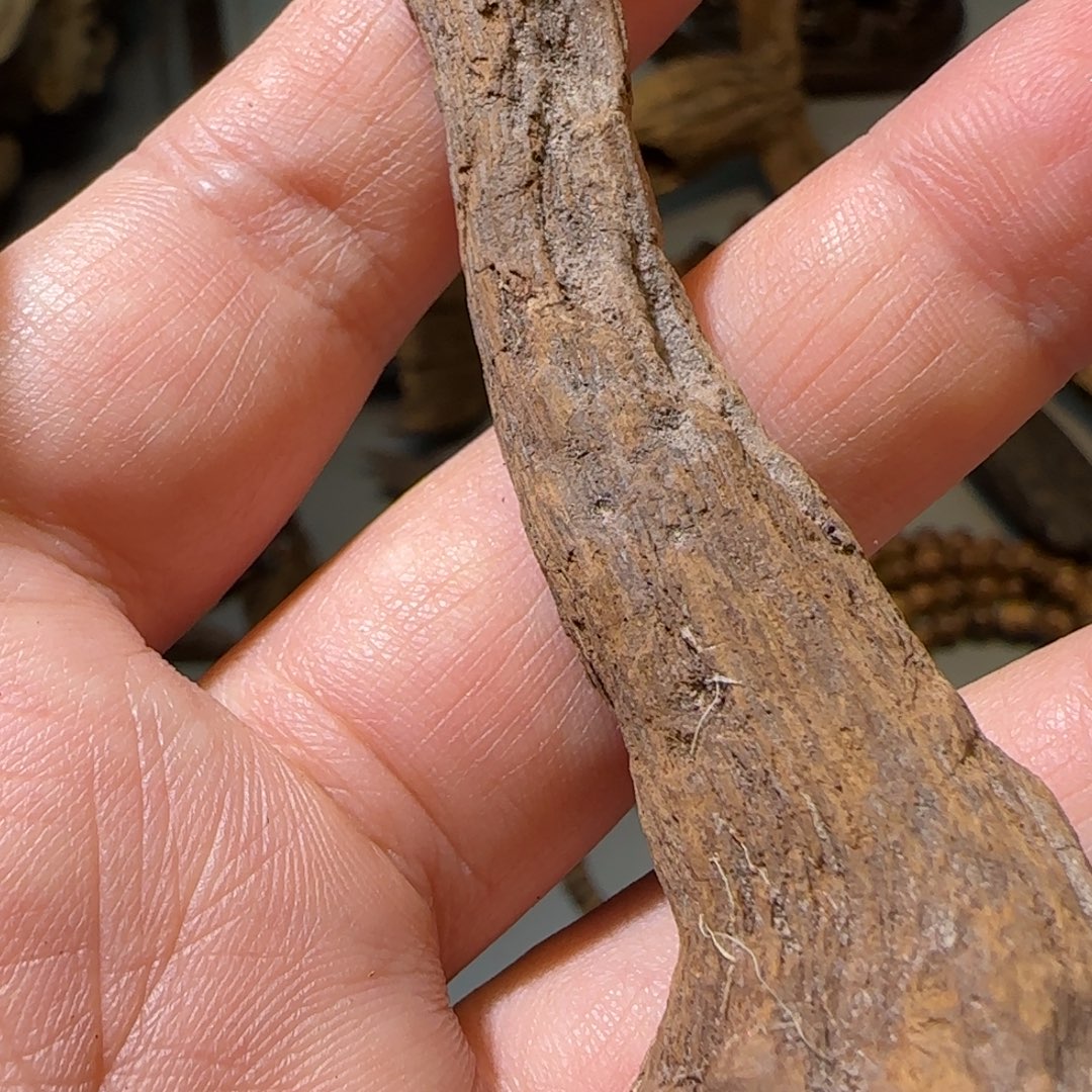 沉香沉香碎屑5.61克中山奇楠根