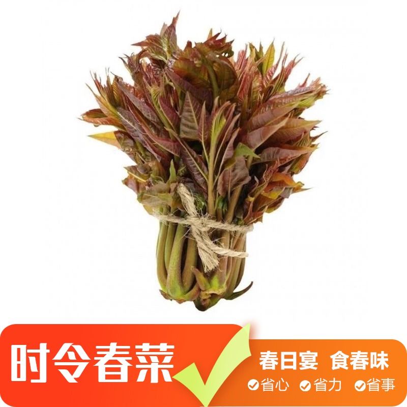【春菜】优选 香椿75g