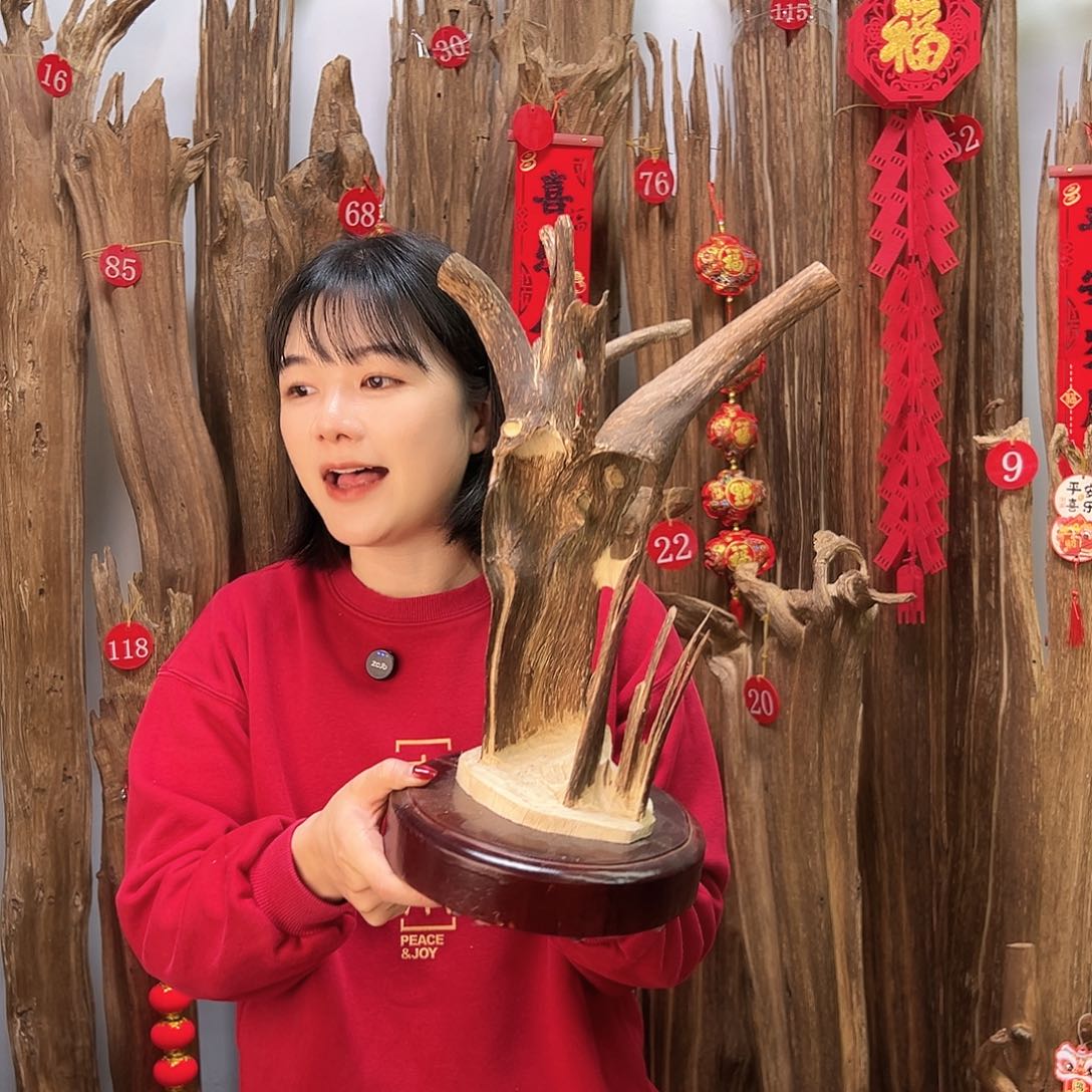 沉香摆件沉香原料摆件工艺品