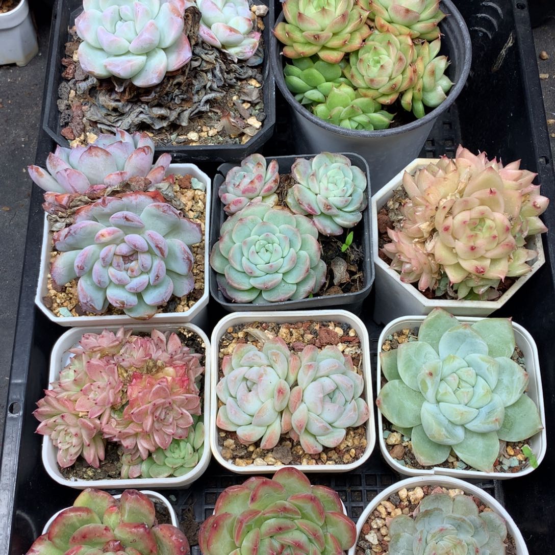 1121-103 套餐一组