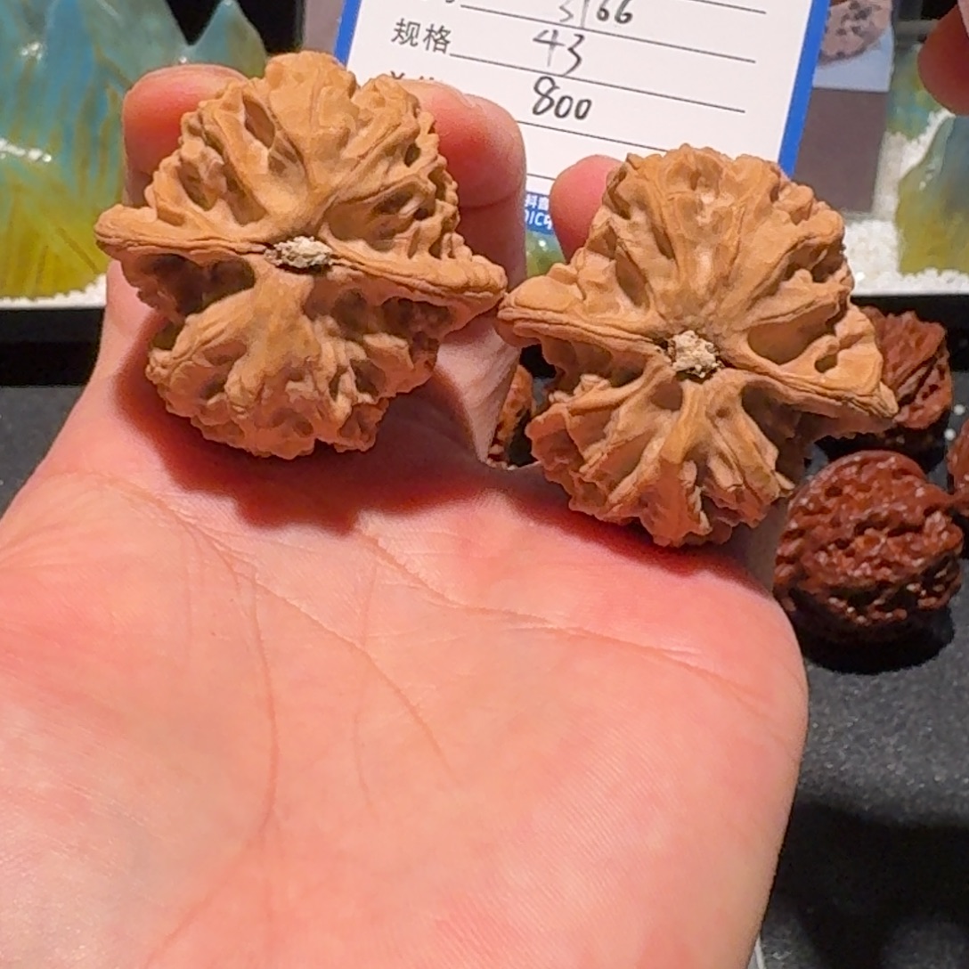 H***A原树梨木台编号3166