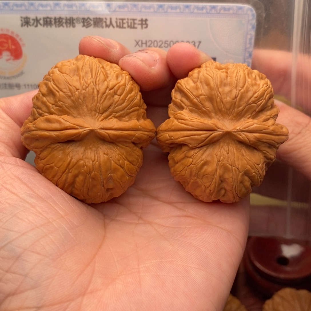 文玩核桃把件元宝45