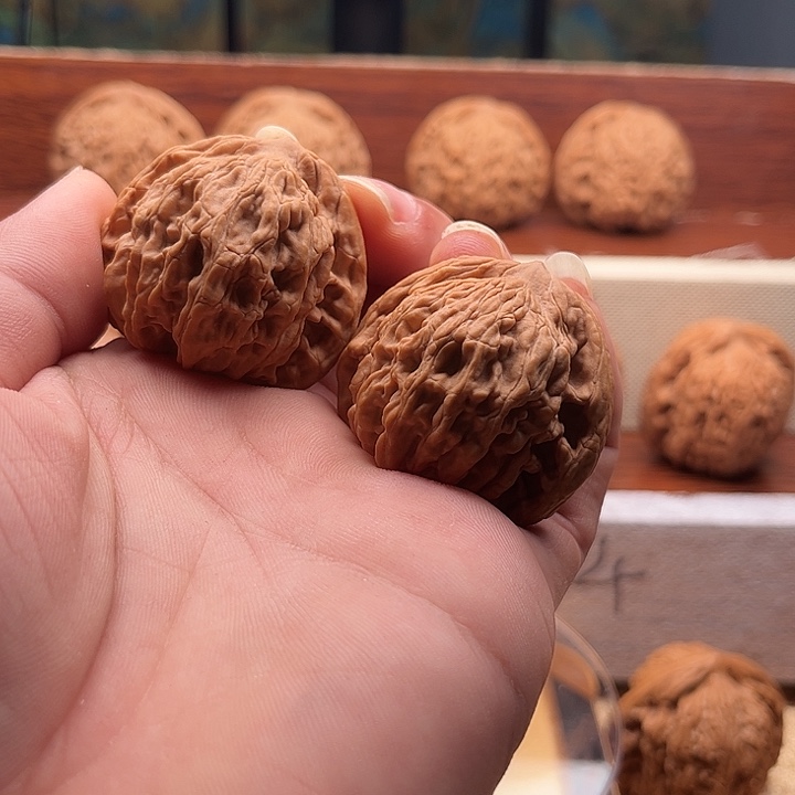 文玩核桃把件虎头