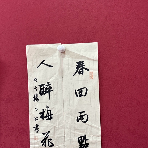 精品书画作品111