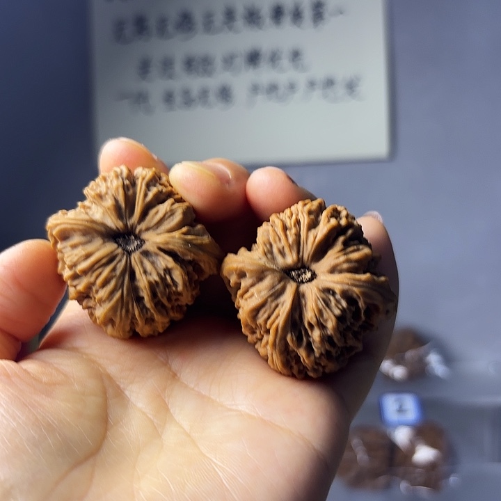 爱***爱南疆石狮子头一对