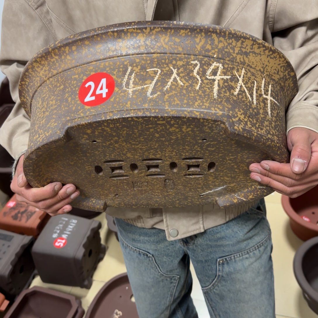 紫砂花盆皇*呜呜呜呜