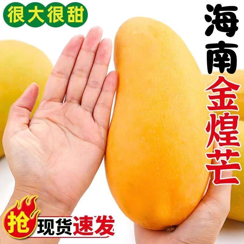 L正宗海南金煌芒果5斤水仙芒甜心芒纯甜超大芒果新鲜水果