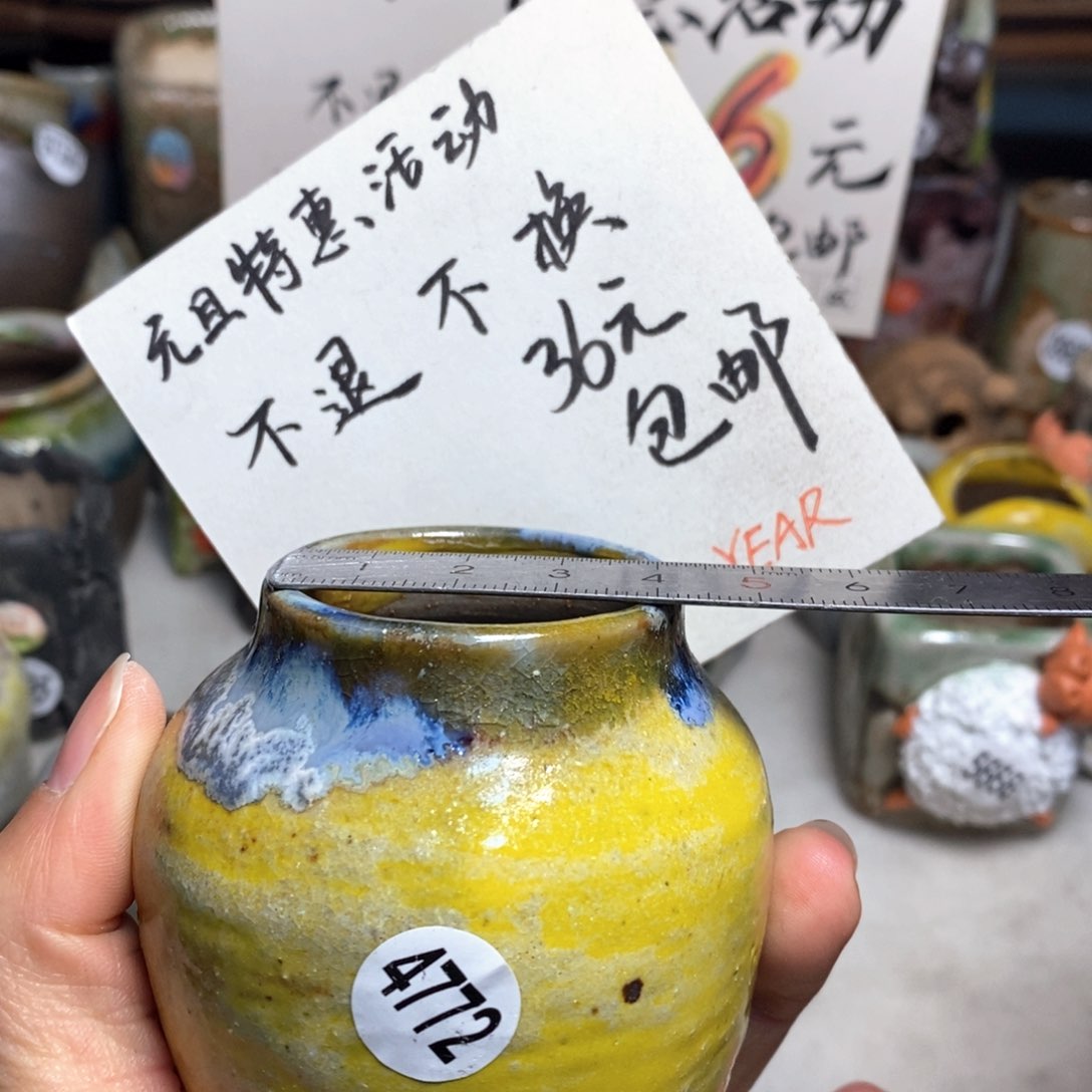 元旦特价花盆不退不换的原价28元