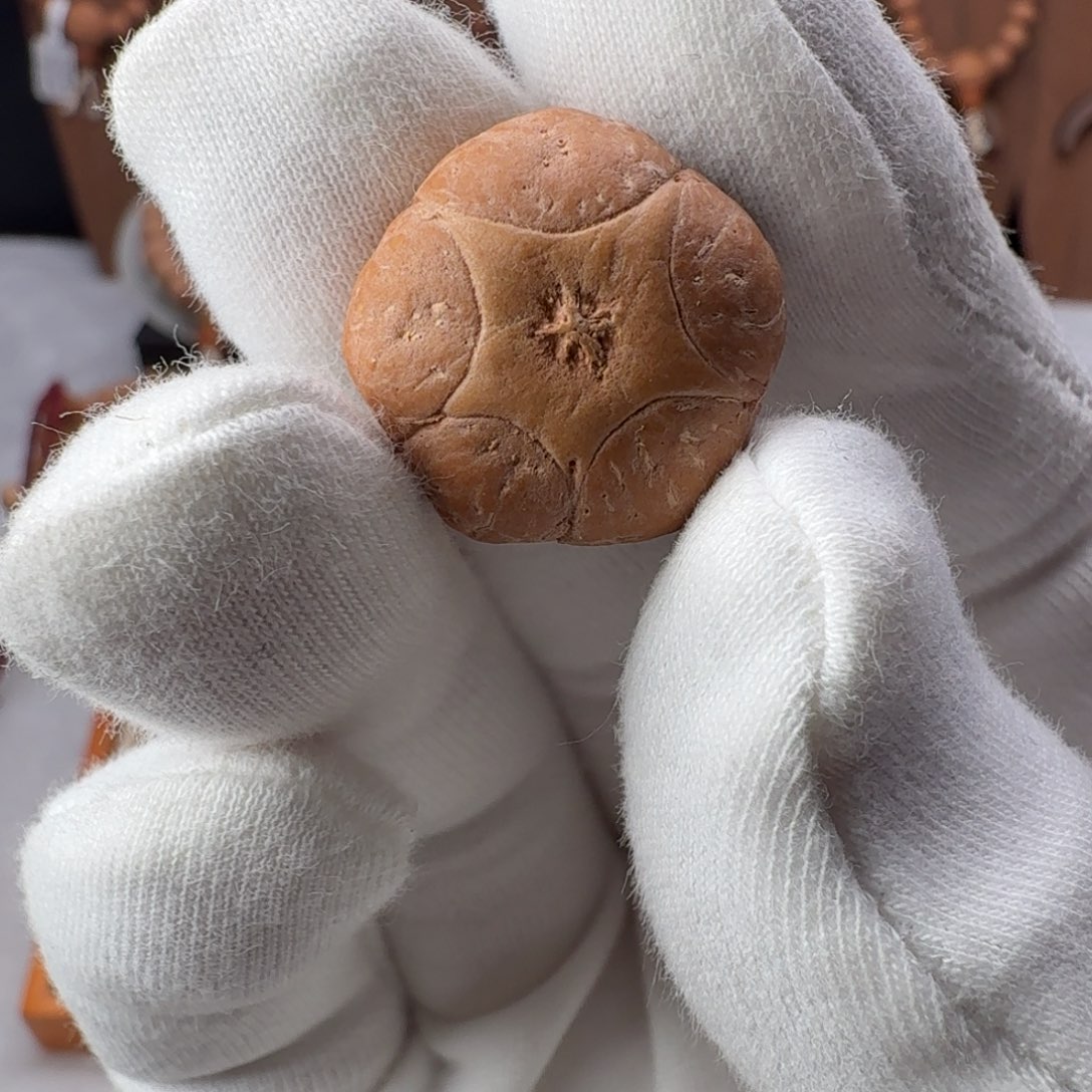 吊坠麒麟眼菩提五星三通未打孔漏屁股