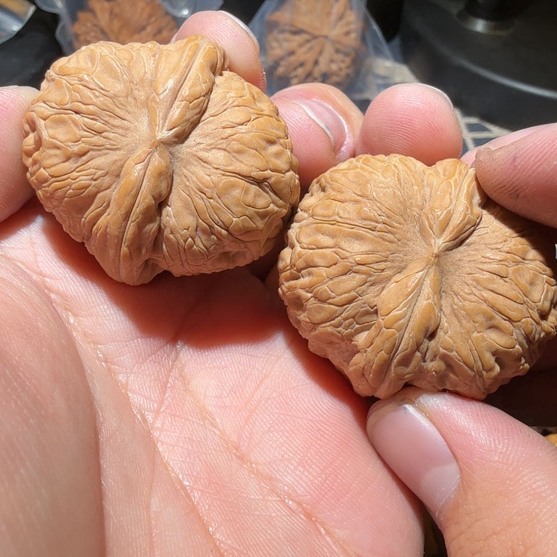 文玩核桃把件元宝