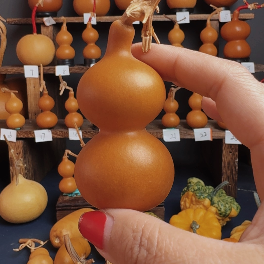 骑*精美天然葫芦葫芦