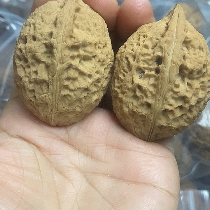 把件文玩核桃云南铁核桃基地5