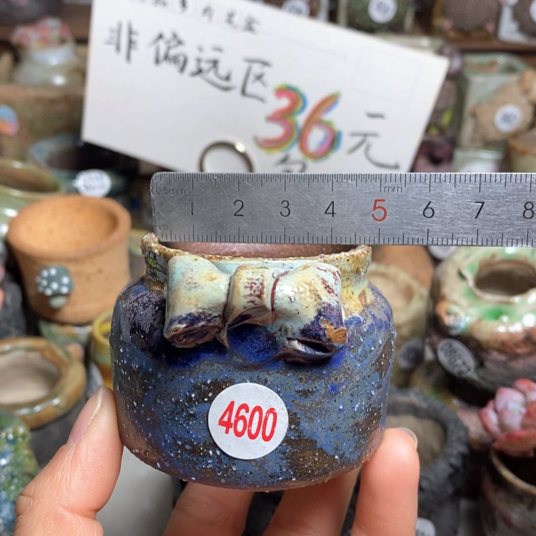 花盆拍5送一个小礼物