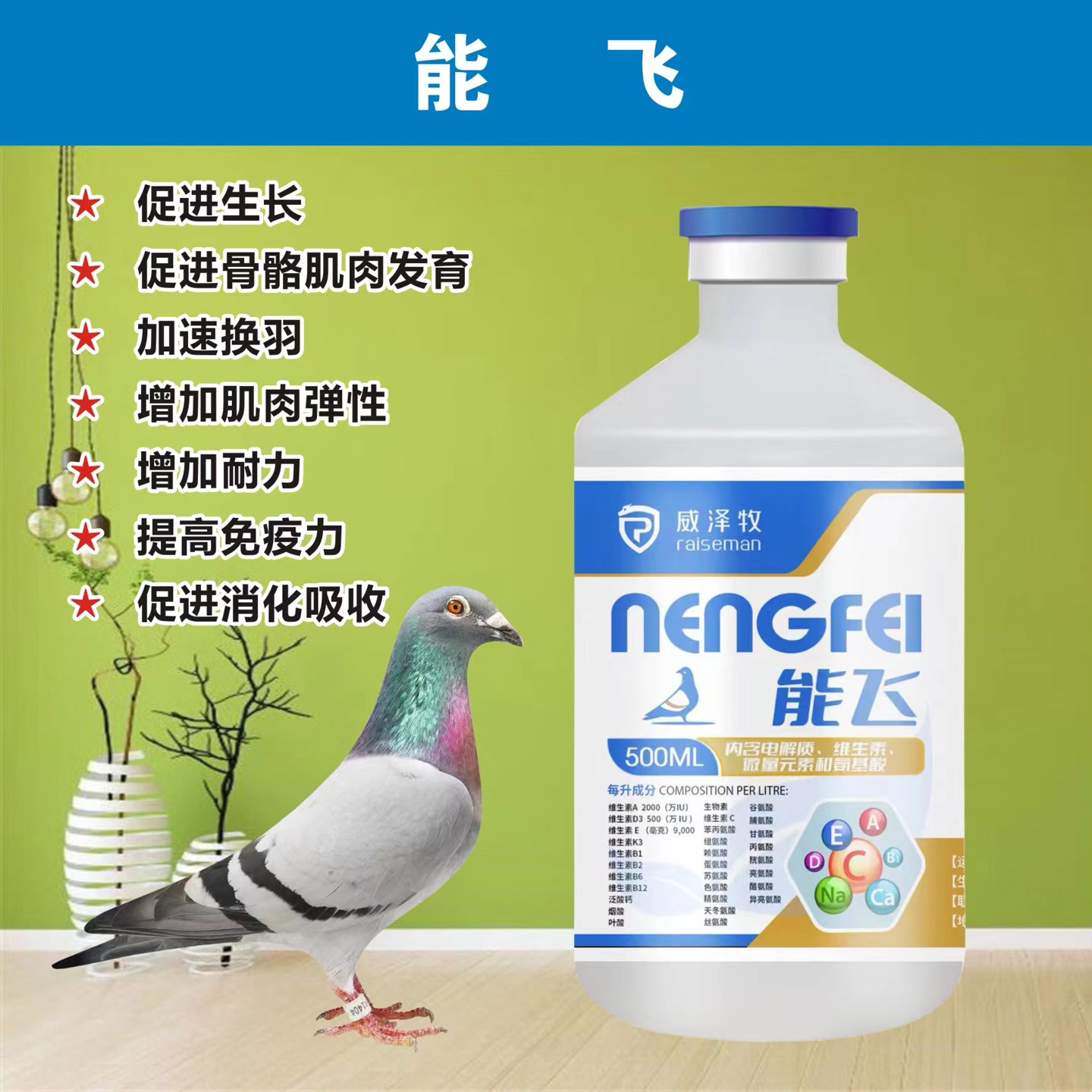 威泽牧能飞 鸽子用品营养品鸽用品